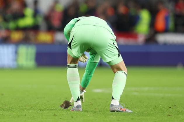Wales gegen Belgien 13. Oktober 2025, Cardiff International Football 2026 World Cup Qualifiers, Gruppe J Wales gegen Belgien Belgiens Torhüter Thibaut Courtois versucht, eine Ratte aufzuheben, die auf das Spielfeld gelaufen war Foto Charlotte Wilson Abseits Cardiff UK  Copyright: xCharlottexWilsonx xOffsidexOffside