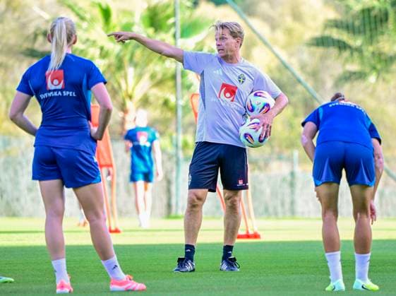 Football, Women, Sweden national team, Training