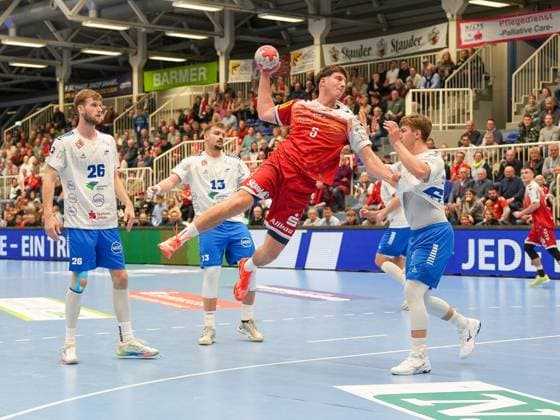 Handball, HBL2, TuSEM Essen - Dessau-Roßlauer HV 06
