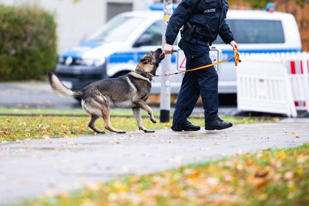 26 10 2025 Soccer, 2025 2026, 2 Bundesliga, 10 Matchday, Eintracht Braunschweig Hannover 96 Police sniffer dog in front of the stadium before the match DFL REGULATIONS PROHIBIT ANY USE OF PHOTOGRAPHS AS IMAGE SEQUENCES AND OR QUASI VIDEO Braunschweig Lower Saxony Germany Eintracht Stadion