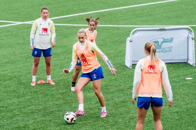 Football, Women, National Team Sweden Training