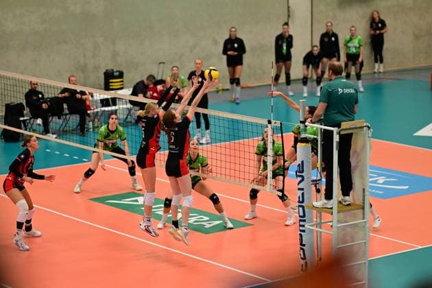 Volleyball I Women I Season 2025 2026 I Bundesliga I 4 Matchday I ETV Hamburger Volksbank Volleys Ladies in Black Aachen I 29 10 2025 Block Anna Hartig 5, ETV Hamburger Volksbank Volleys and Constanze von Meyenn 6, ETV Hamburger Volksbank Volleys Hamburg ETV Sporthalle Hoheluft Hamburg Germany Copyright: xLobeca FelixxSchlikisx
