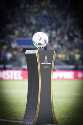 Palmeiras XLDU Semi Final Libertadores SAO PAULO (SP) 10 30 2025 - Football Libertadores 2025 - at the match between Palmeiras X LDU, valid for the Libertadores Semi-Final, held at Allianz Parque in Sao Paulo on the night of this Thursday (30). IMAGO Gessica Pacheco Sao Paulo Brasil Copyright: xGessicaxPachecox