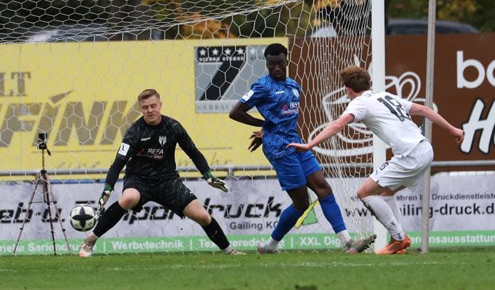 BAU 01 11 2025 Freiberg am Neckar Soccer SGV Freiberg vs SG Barockstadt Fulda Lehnerz, goal to 1 1, f l Benedikt Paul Grawe Freiberg , Matt Brahan Zie Freiberg , scorer Moritz Dittmann Fulda