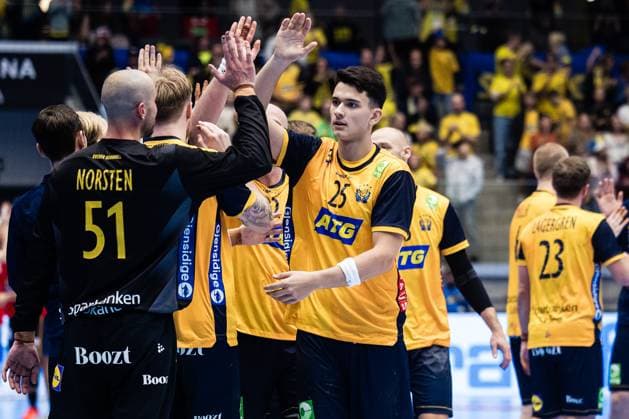 251101 goalkeeper Fabian Norsten and Nikola Roganovic celebrates after the international friendly handball match between Sweden and Spain on November 1, 2025 in Eskilstuna Photo Kenta Jönsson BILDBYRAN COP 210 KJ0282 handball handball handball landslag sverige sweden spain national teams bbeng jubel  Copyright: KENTAxJÖNSSON BB251101KJ059