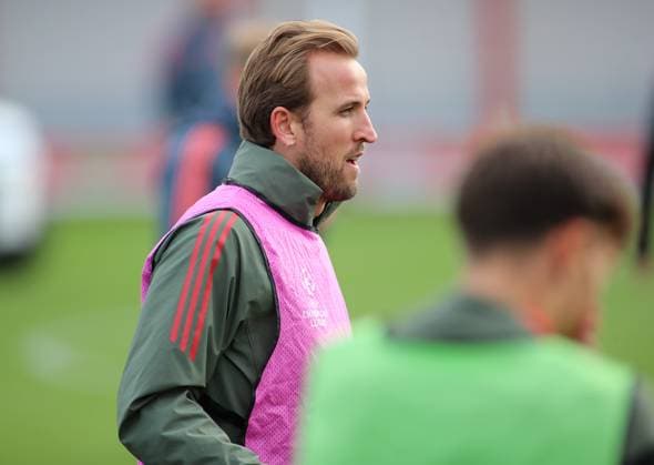 Football, Men, Champions League, Season 2025 2026, FC Bayern Munich, Final training Harry Kane FC Bayern Munich sideways, in profile, head, upper body