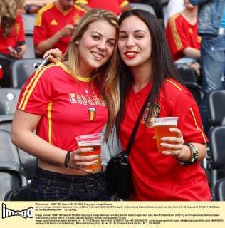 Football, Euro 2012, Fans of the participating countries