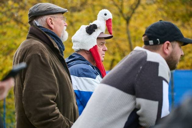 04 11 2025, Football, Men, 2 BL, Season 2025 2026, Training Holstein Kiel fans with stork cap Kiel, Projensdorf Projensdorf, Training ground, Rase Schleswig Holstein Germany