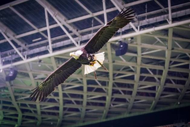 Football, UEFA Europa League 2025 26, Matchday 4 OGC Nice vs SC Freiburg Allianz Riviera Nice, France Eagle flies in the stadium Mascot, symbol Copyright: xJOERANxSTEINSIEKx