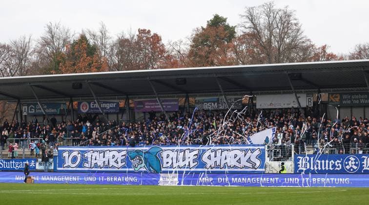 BAU 08.11.2025 Stuttgart Fußball SV Stuttgarter Kickers vs. FC Astoria Walldorf, Feature Fans im B-Block: 10 Jahre Blue Sharks
