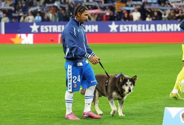 RCD Espanyol de Barcelona v Villarreal CF - LaLiga EA Sports The players come onto the field with dogs as part of the campaign to prevent dog abandonment, which Espanyol supports, during the match between RCD Espanyol and Villarreal CF, corresponding to week 12 of LaLiga EA Sports, played at the RCDE Stadium in Barcelona, Spain, on November 8, 2025. Barcelona Barcelona Spain  Copyright: xUrbanandsportx originalFilename:urbanandsport-rcdespan251108_npaDd.jpg