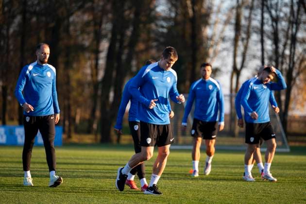 Football, National team Slovenia, Training