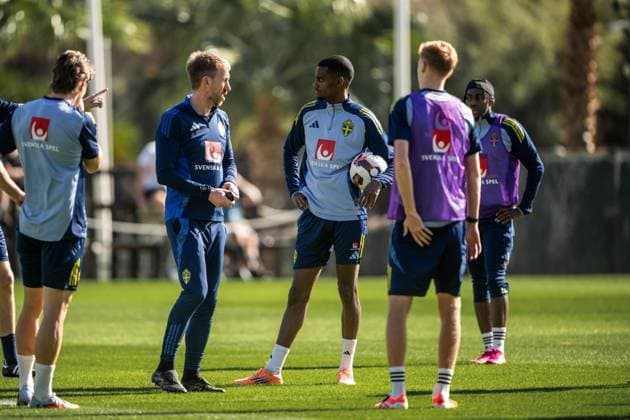 Football, World Cup qualifiers, Sweden national team, Training