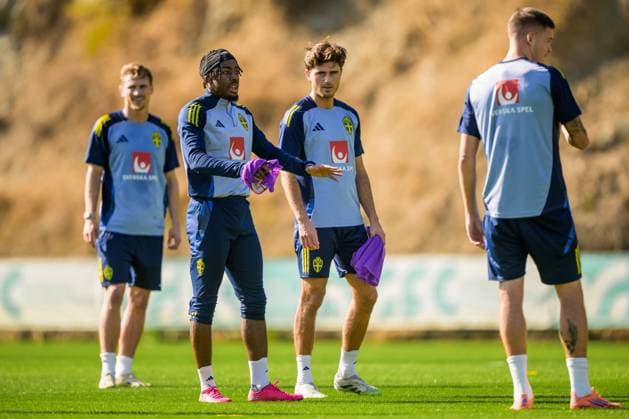 Football, Sweden national team training