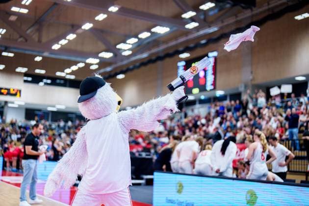 BASKETBALL - FIBA Quali, AUT vs NOR VIENNA,AUSTRIA,12.NOV.25 - BASKETBALL - FIBA Women s EURO Basket 2027, qualification, Austria vs Norway. Image shows a mascot.  GEPAxpictures xEdgarxEisner