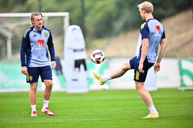 Football, World Cup qualifiers, Sweden national team, Training