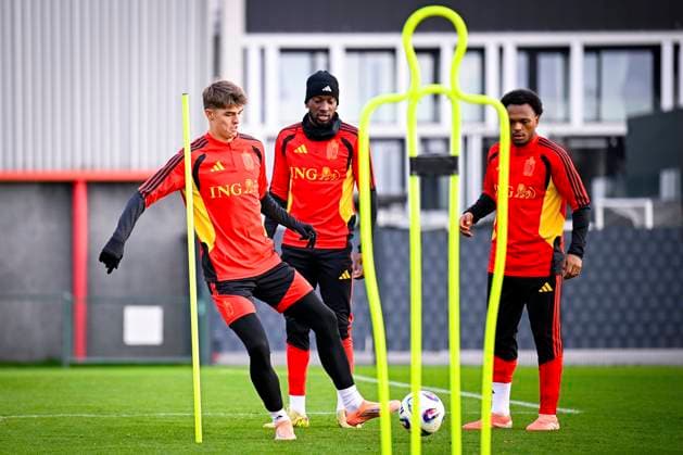 Football, World Cup qualifiers, Belgium national team, Training