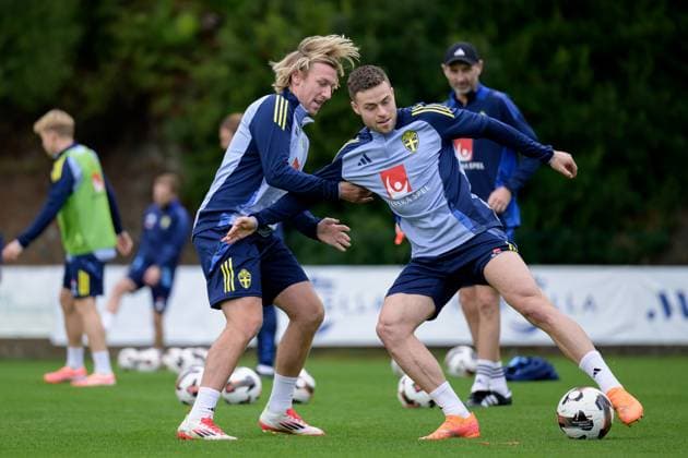Football, World Cup qualifiers, Sweden national team, Training