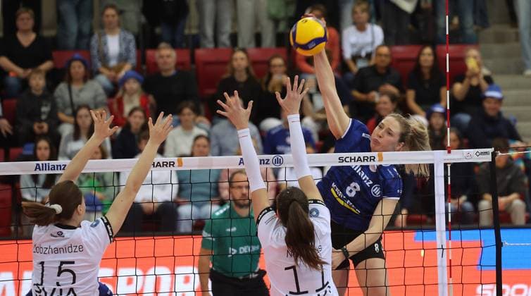 Volleyball, Women, VBL, Allianz MTV Stuttgart - Binder Blaubären TSV Flacht