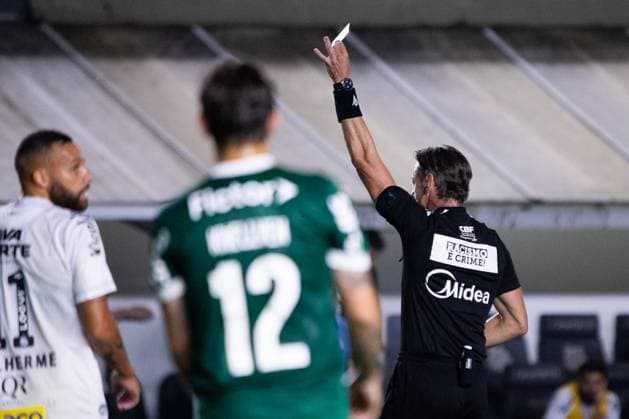 Vila Belmiro SANTOS (SP), 11 15 2025 - BRAZILIAN CHAMPIONSHIP SERIES A: SANTOS x PALMEIRAS - Match valid for the Brazilian Championship Series A, held at Vila Belmiro, in Santos, this Saturday, the 15th. (Photo: MARCUS ANGELO Photo Premium SPP) 30930 (MARCUS ANGELO SPP) Copyright: xMARCUSxANGELOx xSPPx spp-en-MaAn-marcus_angelo_photo_premium_323873.jpeg