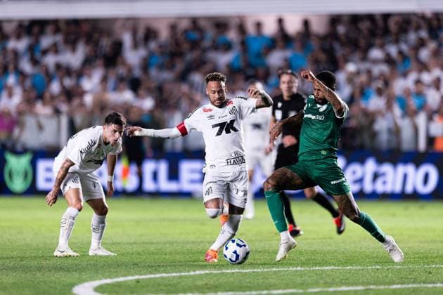Football, FC Santos - Palmeiras