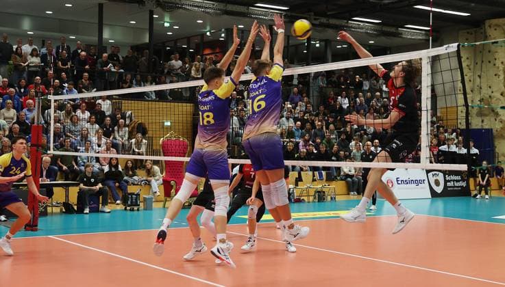 Volleyball, VBL, MTV Ludwigsburg - cerebricks Volley Goats Mitteldeutschland