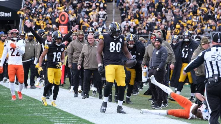 NFL, American Football Herren, USA 2025: Steelers Vs Bengals NOV 16 Nov 16, 2025: Darnell Washington 80 during the 2025 Steelers vs Bengals game in Pittsburgh, PA. Jason Pohuski CSM(Credit Image: Â Jason Pohuski Cal Media) Pittsburgh Pa USA EDITORIAL USE ONLY Copyright: xx ZUMA-20251116_faf_cp5_422.jpg JasonxPohuskix csmphotothree444617