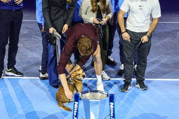 Nitto ATP, Tennis Herren Finals 2025 - Day 8 Jannik Sinner of Italy celebrates with his dog in the final Men s Singles Round match against Carlos Alcaraz of Spain during day eight and the final of the Nitto ATP Finals 2025 at Inalpi Arena in Turin, Italy, on November 16, 2025. Turin Turin Italy  Copyright: xMiguelxReisx originalFilename:reis-notitle251116_np7fS.jpg