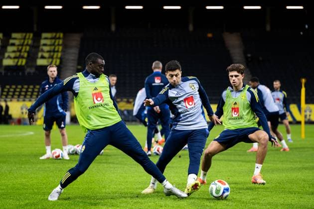Football, World Cup qualifiers, Sweden national team, Training