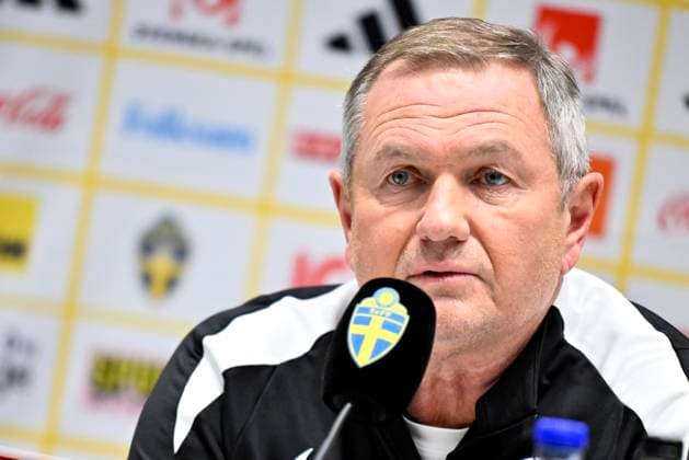 Football, Slovenia national team, Press conference