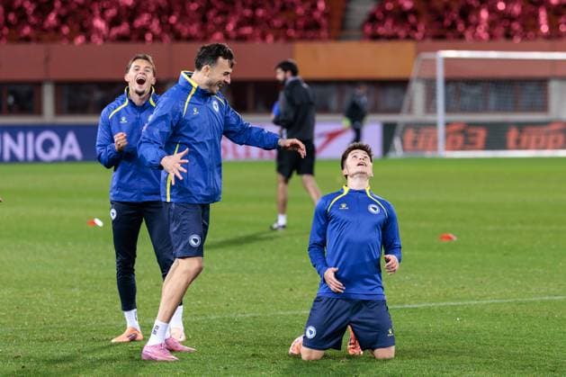 Football, Bosnia and Herzegovina national team, Training