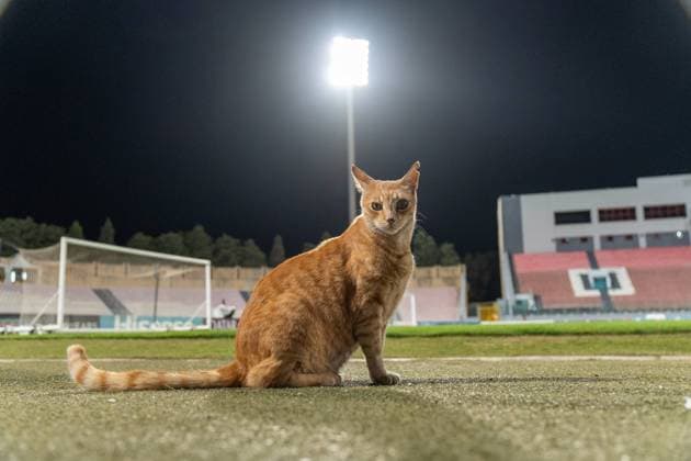 Malta 17.11.2025. Pilka nozna Eliminacje Mistrzostw Swiata 2026 kolejka 10 mecz: Malta - Polska --- Football 2026 FIFA World Cup, WM, Weltmeisterschaft, Fussball qualifiers round 10 match: Malta - Poland nz. stadion Fot. Igor Zadecki Arena Akcji NEWSPIX.PL --- newspix.pl 