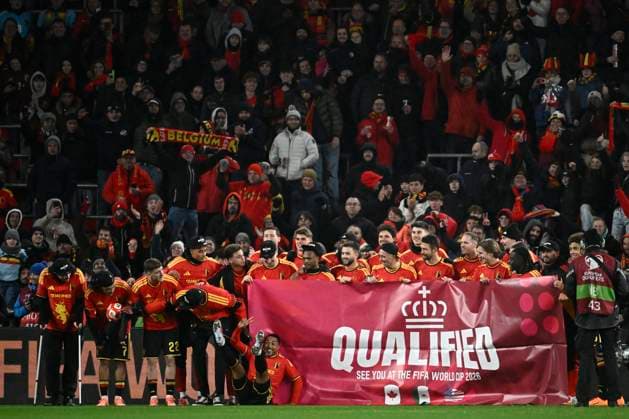 Belgium v Liechtenstein - FIFA World Cup, WM, Weltmeisterschaft, Fussball 2026 UEFA Qualifiers LIEGE, BELGIUM - NOVEMBER 18 : Belgian players celebrate the qualification after the FIFA World Cup 2026 UEFA European Qualifiers group J qualifying round matchday 10 between Belgium and Liechtenstein on November 18, 2025 in Liege, Belgium, 18 11 2025 Liege Belgium  Copyright: xPeterxDexVoechtx