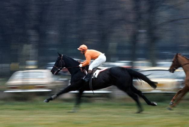 Lanzarote - Horse Racing October 1974 Sandown Park - Lanzarote and jockey Richard Pitman going to post - Photo by Gerry Cranham - Esher UK *** Lanzarote Pferderennen Oktober 1974 Sandown Park Lanzarote und Jockey Richard Pitman auf dem Weg zum Posten Foto von Gerry Cranham Esher UK  Copyright: xGerryxCranhamxOffside