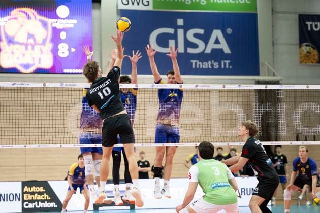 1 Volleyball Bundesliga Season 2025 2026 Cerebricks Volley Goats Mitteldeutschland vs TSV Haching Munich Halle, Germany November 19, 2025 In the picture from left Patrick Rupprecht Haching , Nick Breitenbach Bitterfeld and Clay Wieter Bitterfeld Halle Saale SWH Arena Sachsen Anhalt Germany