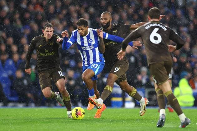Football, England, Brighton and Hove Albion - FC Brentford