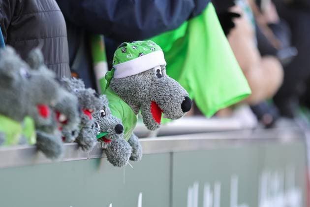 Google Pixel Women Bundesliga, RB Leipzig VfL Wolfsburg 23 11 2025 Plush wolves are placed at the Wolfsburg fan block Mascot, lucky charm, symbolic image, feature soccer, Google Pixel Women Bundesliga, season 2025 2026, 11 match day RB Leipzig vs VfL Wolfsburg on 23 11 2025, training center Cottaweg, Leipzig DFB REGULATIONS PROHIBIT ANY USE OF PHOTOGRAPHS AS IMAGE SEQUENCES AND OR QUASI VIDEO Copyright: xBEAUTIFULxSPORTS JanxKaeferx