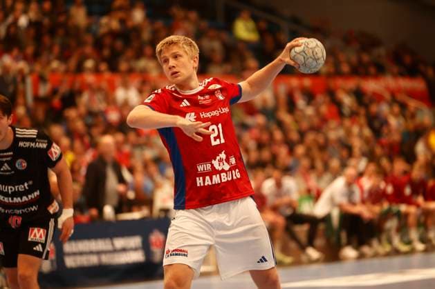 Handball, HBL, HSV Hamburg - HC Erlangen