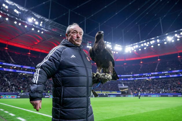 26 11 2025, Football, UEFA Champions League, Eintracht Frankfurt Atalanta Bergamo, Deutsche Bank Park Frankfurt am Main , Matchday 5, Season 2025 2026 The mascot of Eintracht Frankfurt is a golden eagle named Attila Regulations prohibit any use of photographs as image sequences and or quasi video Hessen Germany