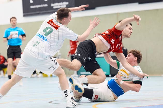 Handball, 3rd league, Team HandbALL Lippe - TSV GWD Minden II