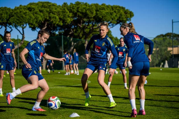 Football, Women, National Team Sweden Training