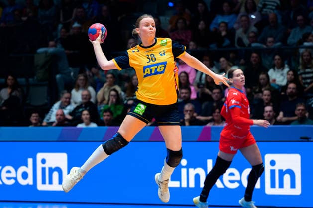 Handball, Womens World Championship, Group G Sweden Czech Republic Elin Hansson Sweden Stuttgart Porsche Arena Baden Württemberg Germany