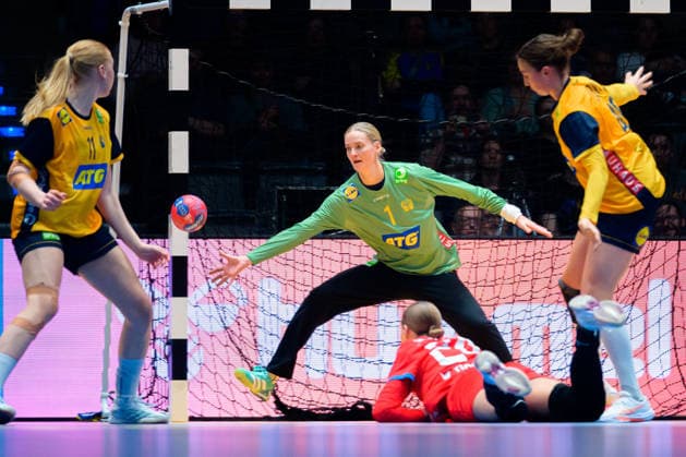 Handball, Womens World Championship, Group G Sweden Czech Republic Johanna Bundsen Sweden , Eliska Desortova Czech Republic Stuttgart Porsche Arena Baden Württemberg Germany