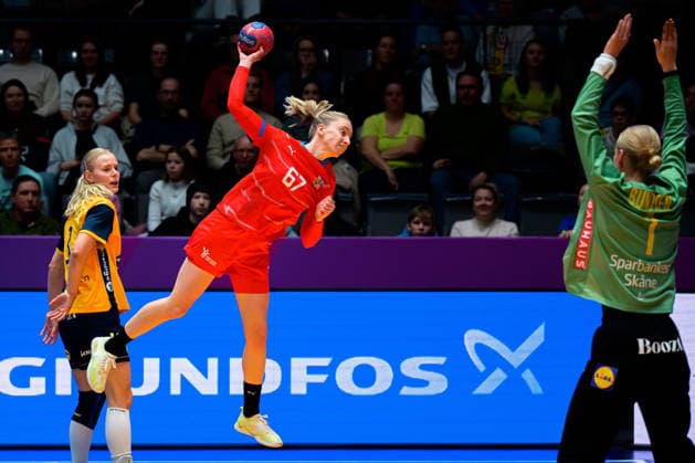 Handball, Womens World Championship, Group G Sweden Czech Republic Veronika Kafka Mala Czech Republic , Johanna Bundsen Sweden Stuttgart Porsche Arena Baden Württemberg Germany