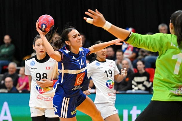 Handball, Women World Championship, France - Tunisia
