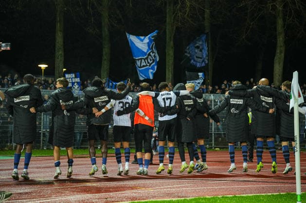 Soccer 3 Liga, Final Match 1, 1 FC Schweinfurt 05 SV Waldhof Mannheim on 29 11 2025 in Schweinfurt Sachs Stadion , Germany, Season 2025 2026 DFB DFL REGULATIONS PROHIBIT ANY USE OF PHOTOGRAPHS as IMAGE SEQUENCES and or QUASI VIDEO The Waldhof Mannheim team celebrates the away win with the fans Schweinfurt Sachs Stadion Germany Copyright: xChristophxKinzingerx