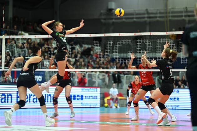 Volleyball, Women, 1st BL, Dresdner SC - Ladies in Black Aachen