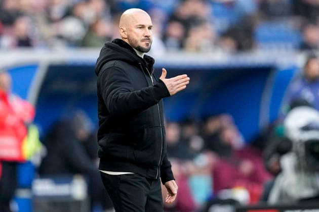 Christian Ilzer Coach, Head Coach, Hoffenheim , gives instructions, gestures, gesticulates with arms, single image, single photo, action, action, 29 11 2025, Sinsheim Germany , Football, Bundesliga, TSG 1899 Hoffenheim FC Augsburg, DFB DFL REGULATIONS PROHIBIT ANY USE OF PHOTOGRAPHS AS IMAGE SEQUENCES AND OR QUASI VIDEO xozx