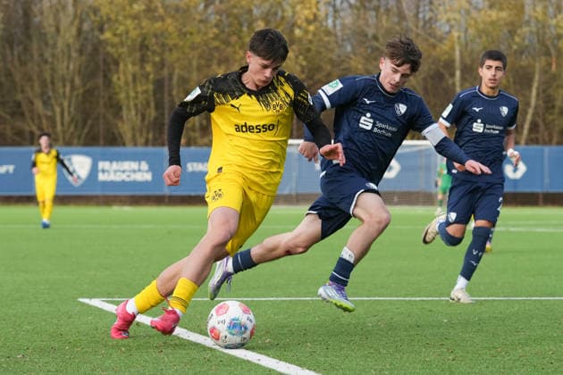 Football, DFB Youth League, U17, VfL Bochum - Borussia Dortmund