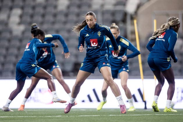 Football, Women, Sweden national team, Training